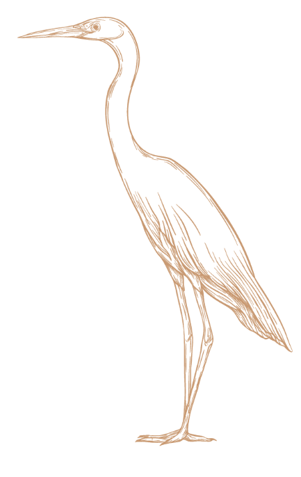 鶴